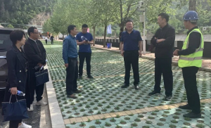 市能力作風建設(shè)年第五巡回指導(dǎo)組到市文旅集團盧氏雙龍灣景區(qū)實地調(diào)研